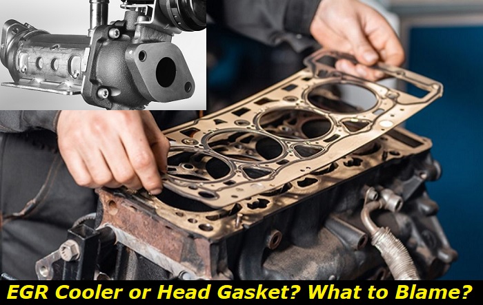 egr cooler or head gasket